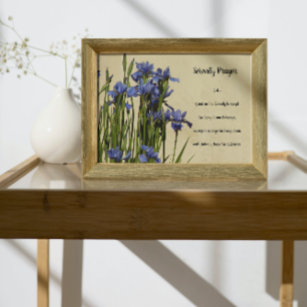 Inspirerend Serenity Prayer Blauwe Irissen Poster