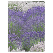 Inspirerend Serenity Prayer Lavendel Tuin Klembord (Achterkant)