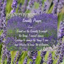 Inspirerend Serenity Prayer Lavendel Tuin
