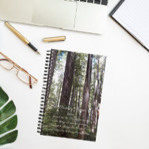 Inspirerend Serenity Prayer Zonovergoten Bos