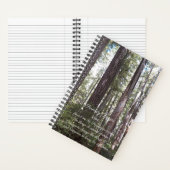 Inspirerend Serenity Prayer Zonovergoten Bos Notitieboek (Binnen)