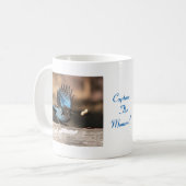 Inspirerend Stellar Jay Mok (Voorkant links)