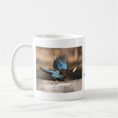 Inspirerend Stellar Jay Mok (Links)