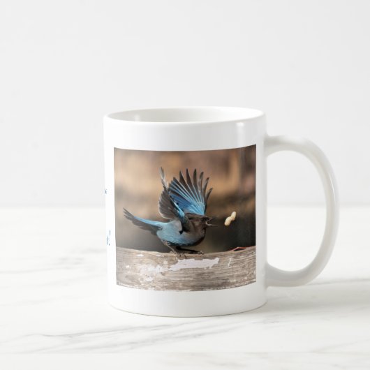 Inspirerend Stellar Jay Mok (Rechts)