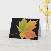 Inspirerend suikeresdoornblad kaart (Gele Bloem)