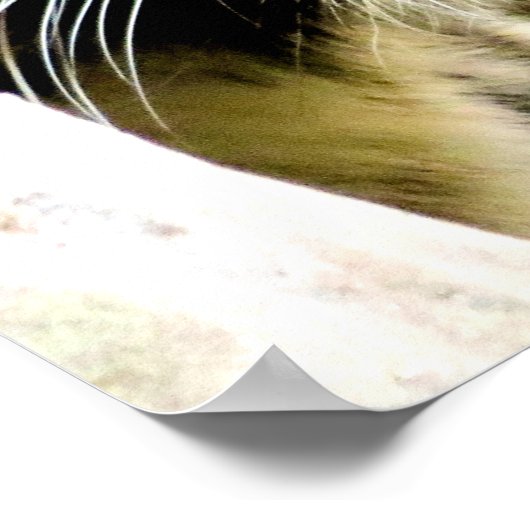 Inspirerend tijgervertrouwenslijst poster (Hoek)