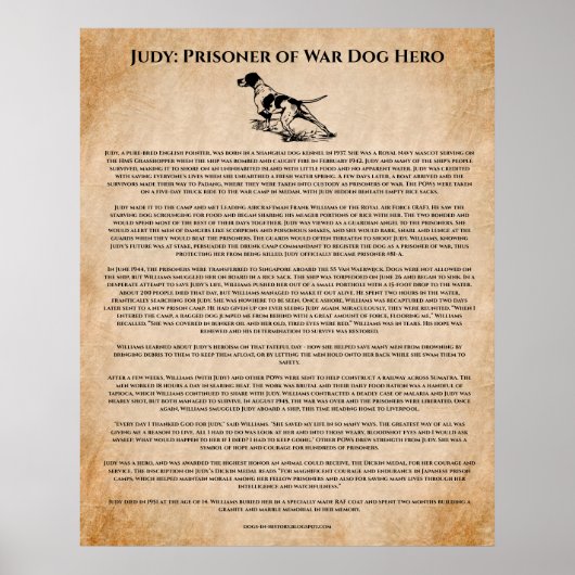 Inspirerend van de Tweede Wereldoorlog Dog Hero Poster (Voorkant)