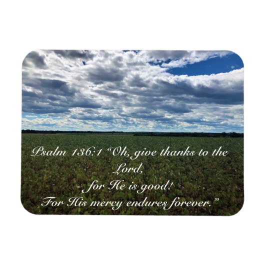 Inspirerend veld "Bedankt geven" katoenveld Magneet (Horizontaal)