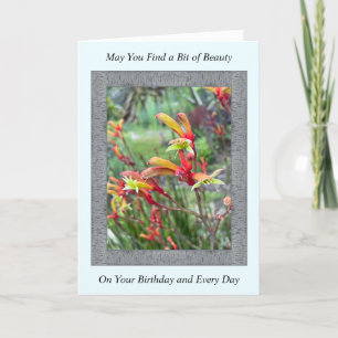 Inspirerend vogelkaart met Kangaroo Paws Kaart