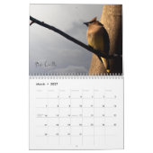 Inspirerend vogelkalender kalender (Mar 2027)