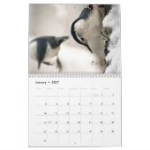 Inspirerend vogelkalender kalender (Jan 2027)