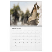 Inspirerend vogelkalender kalender (Feb 2027)
