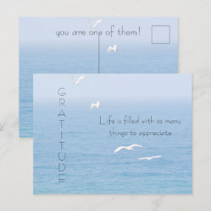 Inspirerend vogels boven de Kaart