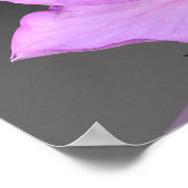 Inspirerend voor orchidee bloemenfotografie poster (Hoek)