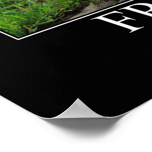 Inspirerend vriendschap Cat Artwork Poster (Hoek)