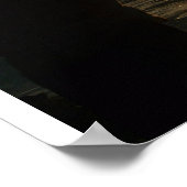 Inspirerend zonnebank Vissen Silhouette Poster (Hoek)