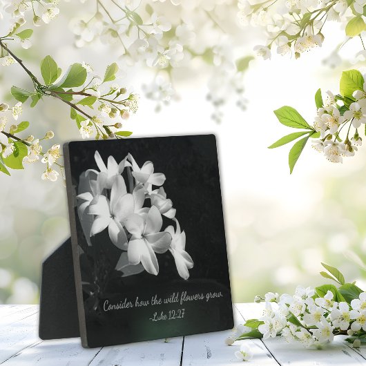 Inspirerende Bijbeltekst Fotoplaat