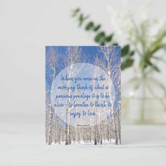 Inspirerende Espen Winterlandschap Foto & Citaat Briefkaart (Staand voorkant)