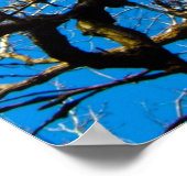 INSPIRERENDE NATUUR FOTO KUNST POSTER (Hoek)