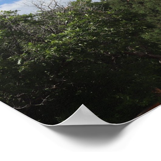 Inspiring Boss Poster (Hoek)