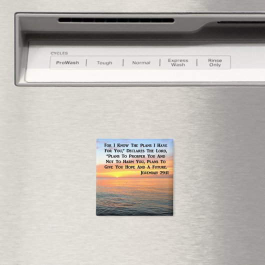 INSPIRING JEREMIAH 29:11 SUNRISE MAGNEET (Insitu (Vaatwasser))