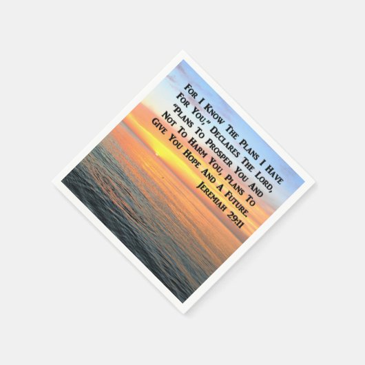 INSPIRING JEREMIAH 29:11 SUNRISE SERVET (Hoek)