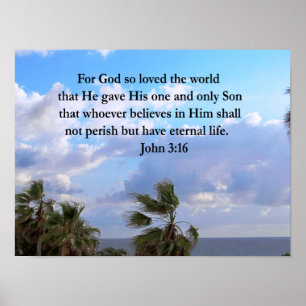 INSPIRING JOHN 3:16 FOTO POSTER