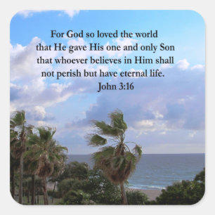 INSPIRING JOHN 3:16 FOTO VIERKANTE STICKER