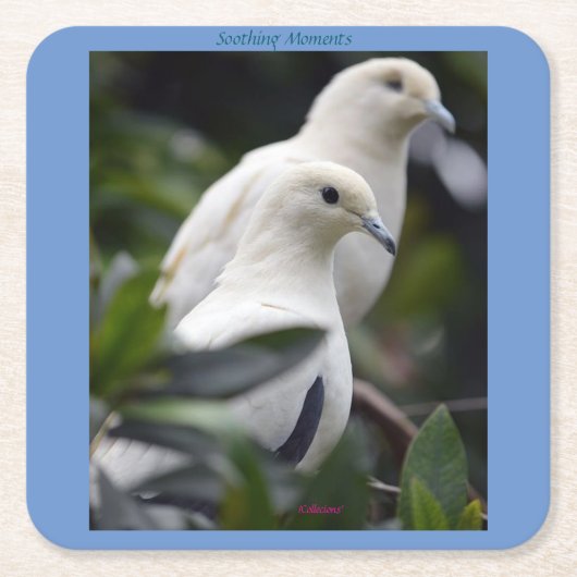 Inspiring Square Paper Coaster Kartonnen Onderzetters (Voorkant)