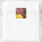 Instagram foto sticker (Tas)