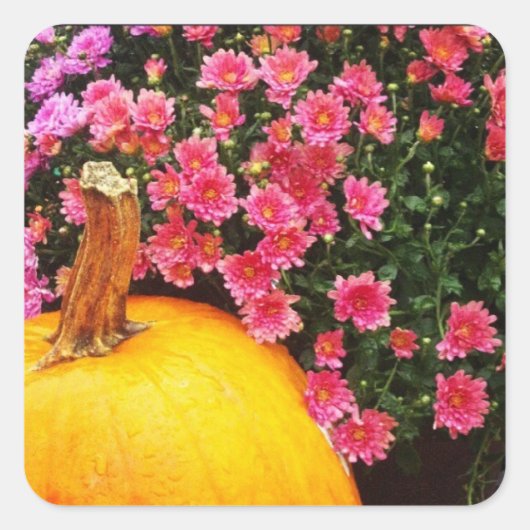 Instagram foto sticker (Voorkant)