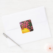 Instagram foto sticker (Envelop)