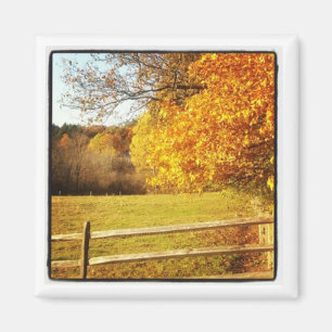 instagram fotomagneet magneet