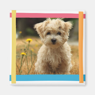 instagram fotomagneet magneet