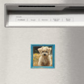 instagram fotomagneet magneet (Insitu (Vaatwasser))