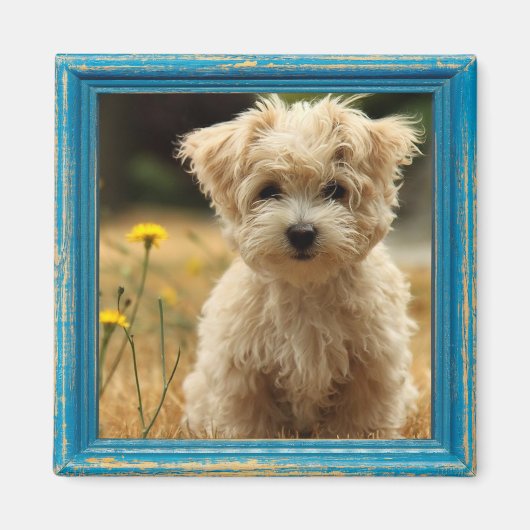 instagram fotomagneet magneet (Voorkant)