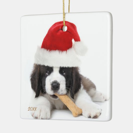 Instagram Pet Photo Ornament (Links)