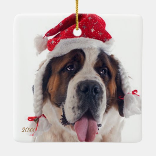 Instagram Pet Photo Ornament (Achterkant)