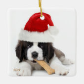 Instagram Pet Photo Ornament (Voorkant)