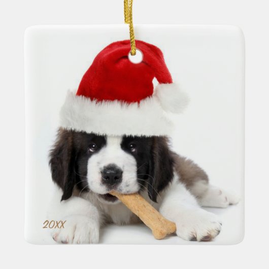 Instagram Pet Photo Ornament (Voorkant)