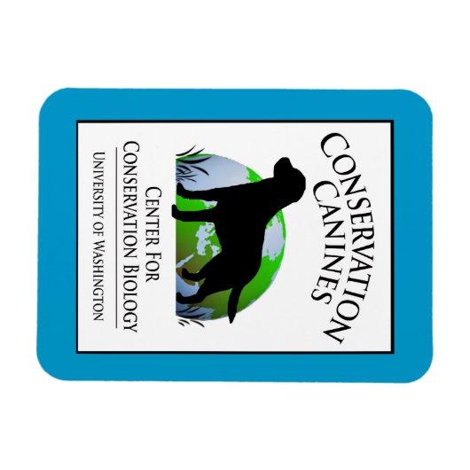 Instandhouding Canines Gear Magneet (Horizontaal)