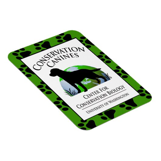 Instandhouding Canines Gear Magneet (Rechterzijde)