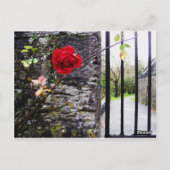 Instandhouding dierentuin Como Briefkaart (Achterkant)