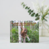 Instandhouding, geen plastische verontreiniging kaart (Staand voorkant)