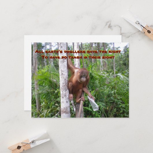 Instandhouding, geen plastische verontreiniging kaart (Voorkant / Achterkant in situ)