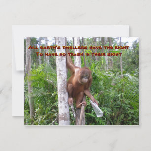 Instandhouding, geen plastische verontreiniging kaart