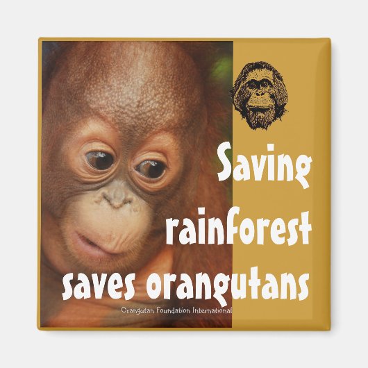 Instandhouding Magneet (Voorkant)