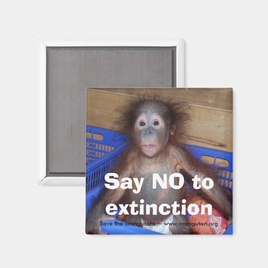 Instandhouding van orang-oetans magneet (Voorkant / Achterkant)