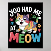 Instant Feline Charm Poster (Voorkant)