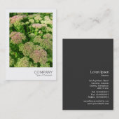 Instant Foto 033 - Sedum Visitekaartje (Voorkant / Achterkant)